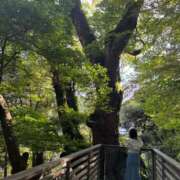 ヒメ日記 2026/06/17 09:48 投稿 栗山えな(くりやまえな) 神戸妻