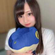 ヒメ日記 2026/09/14 11:17 投稿 ゆいな ドンファン