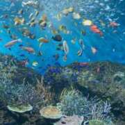 ヒメ日記 2025/05/27 19:43 投稿 みいひ イメクラ土浦女学園