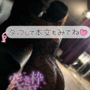 ヒメ日記 2025/07/19 19:27 投稿 とあ 栃木♂風俗の神様宇都宮店