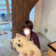 ヒメ日記 2025/11/12 10:57 投稿 とあ 栃木♂風俗の神様宇都宮店