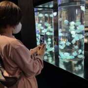 ヒメ日記 2025/12/13 22:43 投稿 とあ 栃木♂風俗の神様宇都宮店