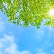 ヒメ日記 2025/05/14 12:14 投稿 折原由真 プルデリR40滋賀店