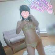 ヒメ日記 2025/04/01 16:25 投稿 いなみ オフィスアロマ