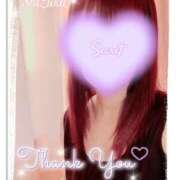 ヒメ日記 2025/02/01 04:33 投稿 清水　しずか【未亡人】 isai～愛妻