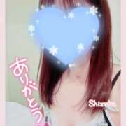 ヒメ日記 2025/02/12 03:16 投稿 清水　しずか【未亡人】 isai～愛妻