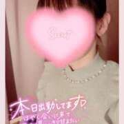 ヒメ日記 2025/02/28 20:31 投稿 清水　しずか【未亡人】 isai～愛妻