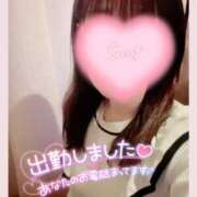 ヒメ日記 2025/03/01 18:28 投稿 清水　しずか【未亡人】 isai～愛妻