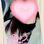 ヒメ日記 2025/03/04 09:23 投稿 清水　しずか【未亡人】 isai～愛妻