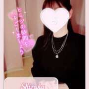 ヒメ日記 2025/03/08 18:54 投稿 清水　しずか【未亡人】 isai～愛妻