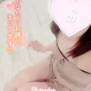 ヒメ日記 2025/03/15 12:07 投稿 清水　しずか【未亡人】 isai～愛妻