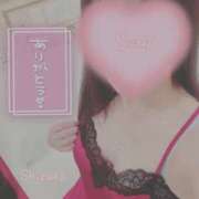 ヒメ日記 2025/03/19 03:44 投稿 清水　しずか【未亡人】 isai～愛妻