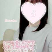 ヒメ日記 2025/04/02 10:05 投稿 清水　しずか【未亡人】 isai～愛妻