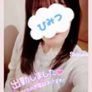 ヒメ日記 2025/04/04 19:21 投稿 清水　しずか【未亡人】 isai～愛妻