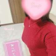 ヒメ日記 2025/04/05 12:39 投稿 清水　しずか【未亡人】 isai～愛妻