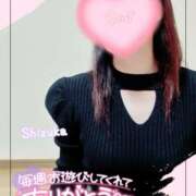 ヒメ日記 2025/04/09 11:28 投稿 清水　しずか【未亡人】 isai～愛妻