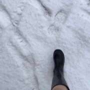 ヒメ日記 2025/02/09 16:51 投稿 いぶき ポッキリ学園 ～モテモテハーレムごっこ～