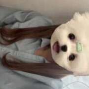 ヒメ日記 2025/06/27 20:31 投稿 いぶき ポッキリ学園 ～モテモテハーレムごっこ～