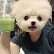 ヒメ日記 2025/09/22 12:21 投稿 いぶき ポッキリ学園 ～モテモテハーレムごっこ～