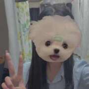 いぶき とーこー👍🏻👍🏻👍🏻 ポッキリ学園 ～モテモテハーレムごっこ～