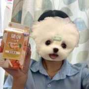 いぶき おはよう！ ポッキリ学園 ～モテモテハーレムごっこ～