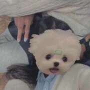 ヒメ日記 2025/12/13 08:49 投稿 いぶき ポッキリ学園 ～モテモテハーレムごっこ～