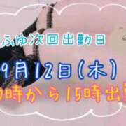 ヒメ日記 2024/09/06 05:54 投稿 まふゆ [優良人妻店]セレブスタイル（山口～防府～萩）