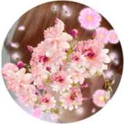 ヒメ日記 2025/03/19 06:40 投稿 はるな 性腺熟女100％（デリヘル市場）