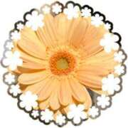 ヒメ日記 2025/03/22 12:51 投稿 はるな 性腺熟女100％（デリヘル市場）