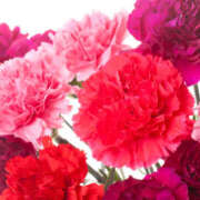 ヒメ日記 2025/05/12 16:26 投稿 はるな 性腺熟女100％（デリヘル市場）