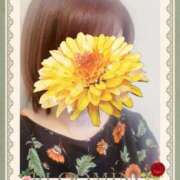 ヒメ日記 2025/06/07 08:51 投稿 はるな 性腺熟女100％（デリヘル市場）