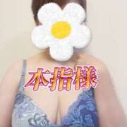 ヒメ日記 2025/08/16 01:19 投稿 はるな 性腺熟女100％（デリヘル市場）