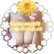 ヒメ日記 2025/10/27 18:56 投稿 はるな 性腺熟女100％（デリヘル市場）