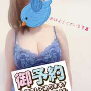 ヒメ日記 2025/11/28 10:31 投稿 はるな 性腺熟女100％（デリヘル市場）