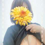 ヒメ日記 2026/01/24 10:06 投稿 はるな 性腺熟女100％本店（デリヘル市場）