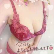 ヒメ日記 2026/02/10 08:06 投稿 はるな 性腺熟女100％本店（デリヘル市場）