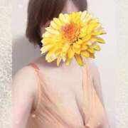 ヒメ日記 2026/02/27 18:57 投稿 はるな 性腺熟女100％（デリヘル市場）