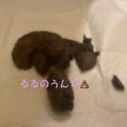 るる(新人) 💩 排泄マニア