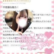 ヒメ日記 2025/05/14 18:02 投稿 カノン 千葉美女革命