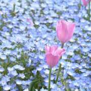 ヒメ日記 2025/05/15 13:31 投稿 カノン 千葉美女革命