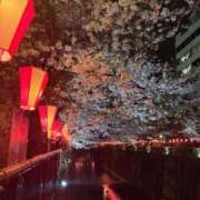 ここあ ごめんなさい😢 とある風俗店♡やりすぎさーくる新宿大久保店♡で色んな無料オプションしてみました