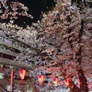 ヒメ日記 2026/04/04 10:56 投稿 ここあ とある風俗店♡やりすぎさーくる新宿大久保店♡で色んな無料オプションしてみました