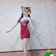 ヒメ日記 2024/12/17 14:54 投稿 冬子 桃李（とうり）