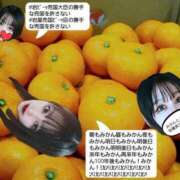 ヒメ日記 2025/01/03 11:14 投稿 冬子 桃李（とうり）