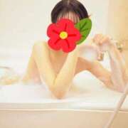 ヒメ日記 2025/01/14 14:12 投稿 冬子 桃李（とうり）