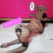 ヒメ日記 2025/03/10 01:24 投稿 冬子 桃李（とうり）