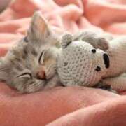 ヒメ日記 2025/03/15 04:44 投稿 冬子 桃李（とうり）