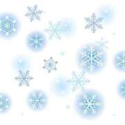 ヒメ日記 2025/03/20 01:34 投稿 冬子 桃李（とうり）