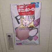 ヒメ日記 2025/03/28 07:34 投稿 冬子 桃李（とうり）