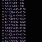ヒメ日記 2025/04/18 17:24 投稿 冬子 桃李（とうり）